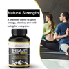 Nutrazin Shilajit Premium Capsules for Energy, Strength, Vitality & Wellness