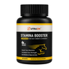Stamina Booster Capsules for Daily Energy & Strength | Ayurvedic Herbal Supplement | 60 Capsules