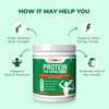 Nutrazin Protein for Women with DHA | High Protein for Muscle Recovery, Hair & Skin Health, Energy & Bone Strength