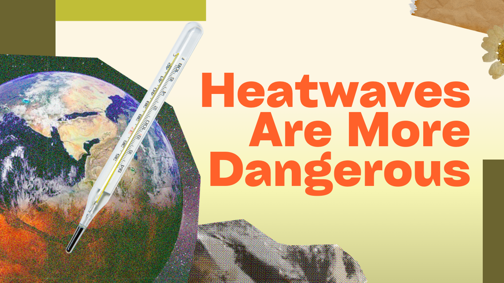 Why Heatwaves Are More Dangerous Than You Think (And How to Stay Safe)