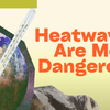 Why Heatwaves Are More Dangerous Than You Think (And How to Stay Safe)