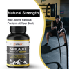 Nutrazin Shilajit Premium Capsules for Energy, Strength, Vitality & Wellness