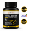 Stamina Booster Capsules for Daily Energy & Strength | Ayurvedic Herbal Supplement | 60 Capsules